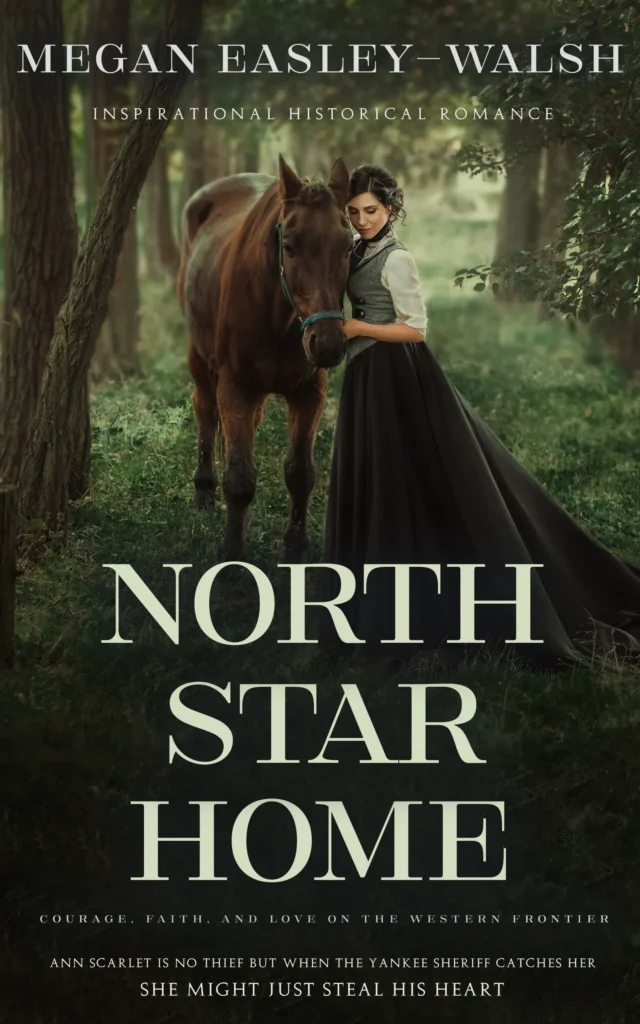 North Star Home